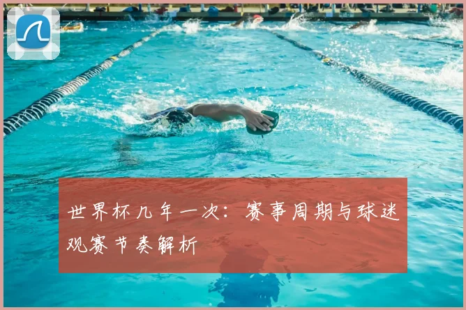 世界杯几年一次:赛事周期与球迷观赛节奏解析