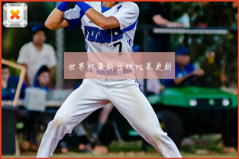 世界杯最新出线结果更新