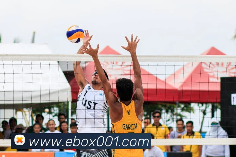 App Interface Preview