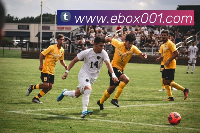 世界杯官方网络平台APP 封面图